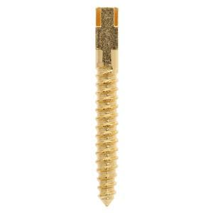 Screw Posts Gold Plated X-Long 12/Bx