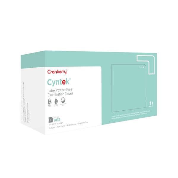 Cyntek Exam Gloves Large Standard Mint Green Non-Sterile