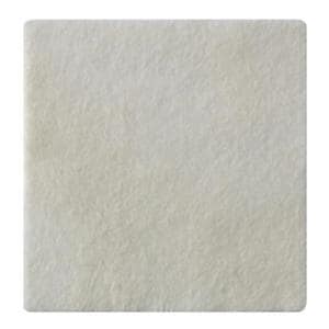 Biatain Ag Cal Alg/CMC/Ionic Slvr Alginate Ag Dressing 6x6 Strl NAdhs Wht