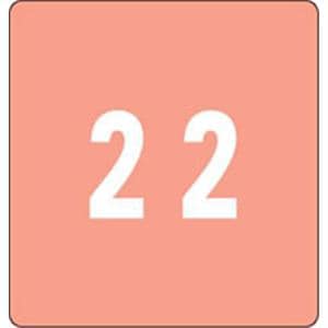 Labels DDC Pink #2 250/Bx 250/Bx
