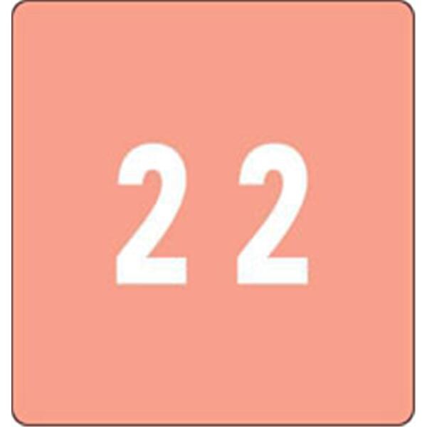 Labels DDC Pink #2 250/Bx 250/Bx