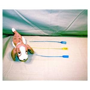 Lock Seal Numbered / Tamper Evident Pull-Tight Lok 100/Pk