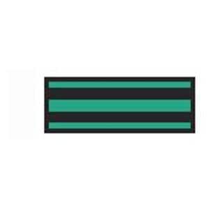 ColorTrack Instrument ID Tape Black/Kelly Green Stripe 8-1/2x11" Disposable Ea