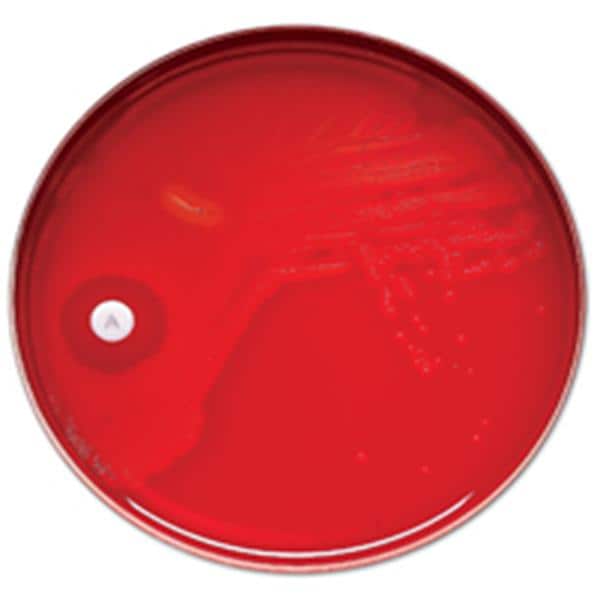 Sensi-Disc Sensitivity Disk 10/Pk