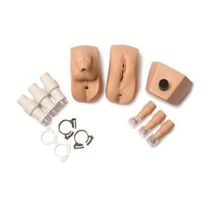 Male/Female Genitalia Kit Adult Manikin Ea