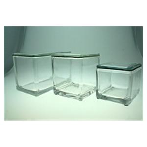 Rectangle Staining Dish For 20 Slides 3x2-1/4x1-1/4" Glass Cap Ea