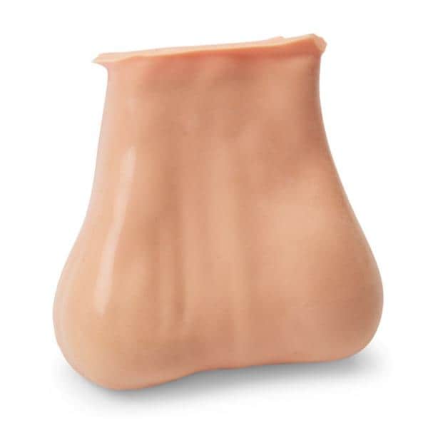 Testicle- 2 Lumps in 1 Anatomical Model Ea