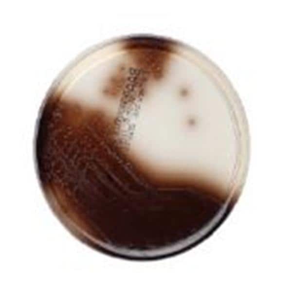 Bile Esculin Azide Agar Culture 15x103mm Slant Tube 20/Pk