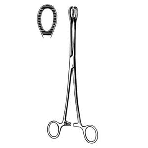 Foerster Sponge Forcep 7" Ea