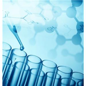 TP: Total Protein 8.0 g/dL Standard 15mL Ea