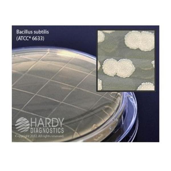 TSA: Trypticase Soy Agar Plate 10/Pk