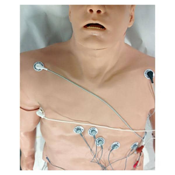 Physio Arrhythmia Simulator Ea