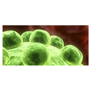 Sentosa SX Viral TNA Kit 4x24 Ea