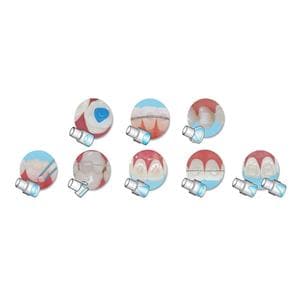 Mini-Mold Molar Pad Tips Posterior 10/Pk