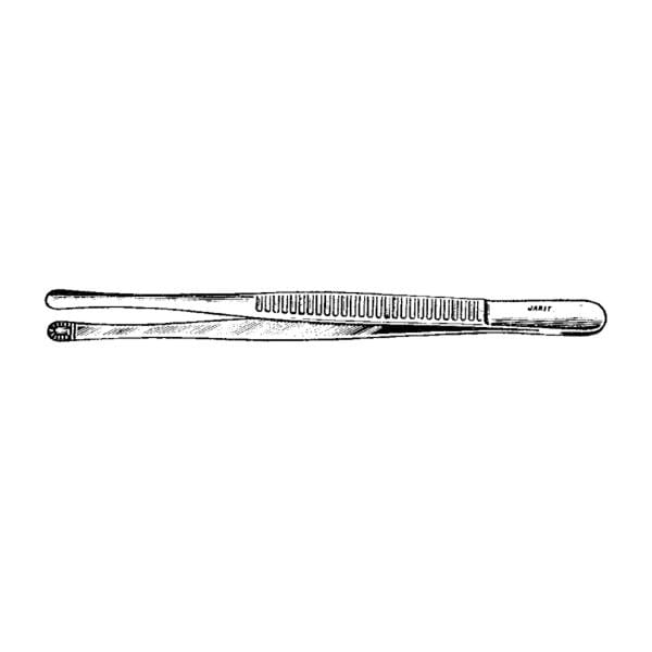 Russian Tissue Forcep Straight 7-3/4" Ea