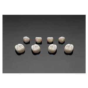 ACERO Crowns Size 2 2nd Primary Lower Left Molar 1/Bag Ea