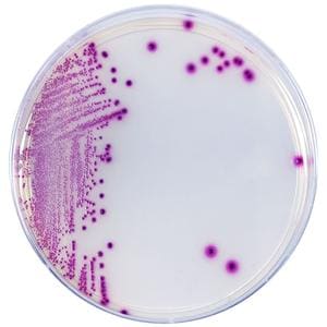 HardyCHROM UTI Medium 18ml 15x100mm 10/Pk