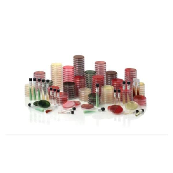 BD BBL Fluid Medium Thioglycollate 8mL Tube 10/Pk