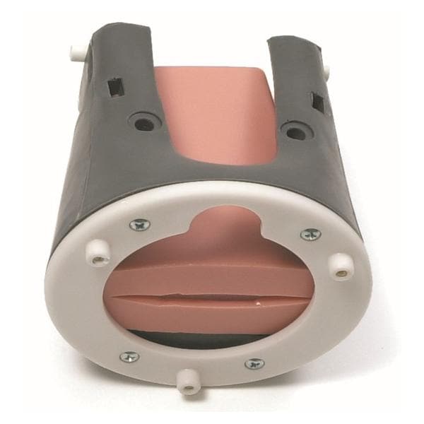 Neck Airway Management Trainer Ea