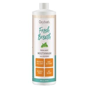 Oxyfresh Fresh Breath Fresh Mint Mouthwash 16 oz Bottle 16oz/Bt