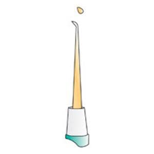 Wax Carver Small Cleoid Ea