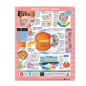 Blueprint for Health Your Eyes 20x26" Anatomical Chart EA