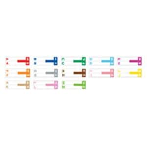 Label C/C Name-AN Flat 100/Pk