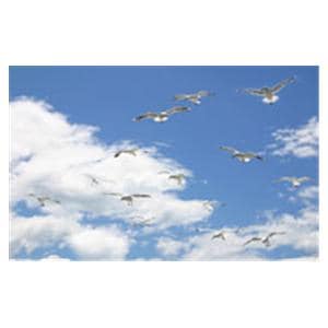 CeilingScenes Acoustic Tile Seagull Sky 2-Tiles Horizontal 48 in x 24 in Ea