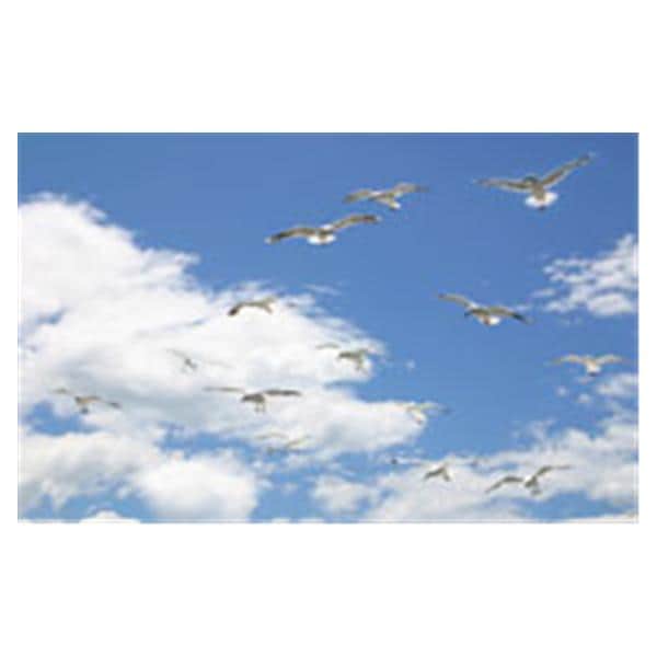 CeilingScenes Acoustic Tile Seagull Sky 2-Tiles Horizontal 48 in x 24 in Ea