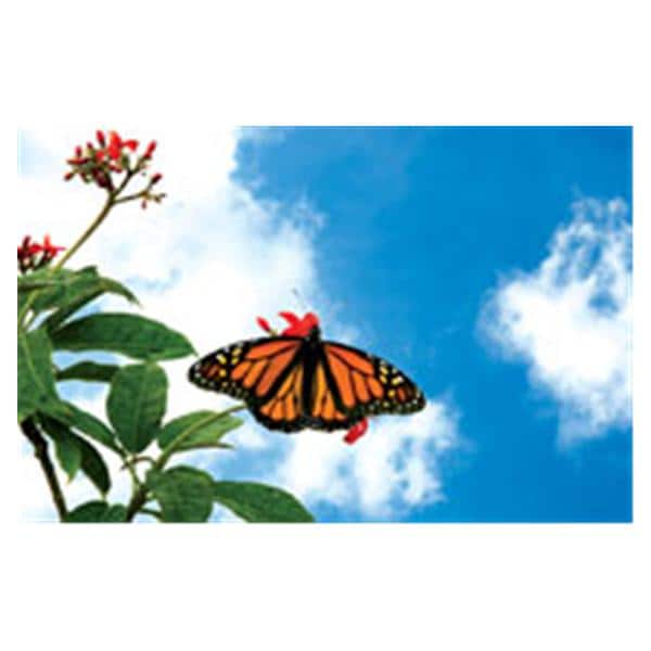 CeilingScenes Light Lens Monarch Sky 4-Tiles Square 24 in x 24 in Ea