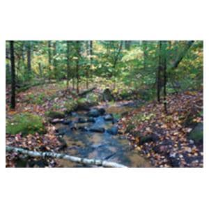 CeilingScenes Acoustic Tile Gentle Stream 4-Tiles Square 24 in x 24 in Ea