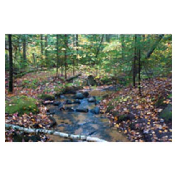 CeilingScenes Acoustic Tile Gentle Stream 4-Tiles Square 24 in x 24 in Ea