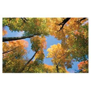 CeilingScenes Acoustic Tile Maple Tree 4-Tiles Square 24 in x 24 in Ea