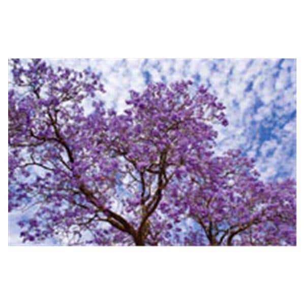 CeilingScenes Acoustic Tile Jacaranda 1-Tile Horizontal 48 in x 24 in Ea