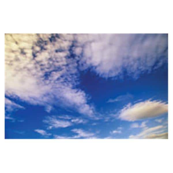 CeilingScenes Light Lens Yukon 1-Tile Square 24 in x 24 in Ea