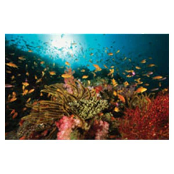 CeilingScenes Light Lens Sealife 2-Tiles Vertical 24 in x 48 in Ea
