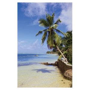 CeilingScenes Acoustic Tile Palms 2-Tiles Horizontal 48 in x 24 in Ea