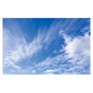 CeilingScenes Light Lens Fall Clouds 4-Tiles Square 24 in x 24 in Ea