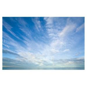 CeilingScenes Acoustic Tile Cumulus Clouds 1-Tile Horizontal 48 in x 24 in Ea