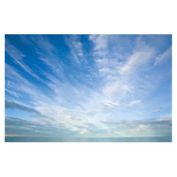 CeilingScenes Acoustic Tile Cumulus Clouds 1-Tile Horizontal 48 in x 24 in Ea