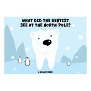 Imprinted Recall Cards Molar Bear Joke 4 in x 6 in 250/Pk