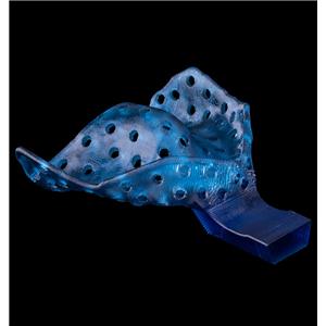 FotoDent Tray2 Resin Blue Transparent 1/Kg