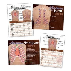 Heart & Lungs Visual Aid Set Ea