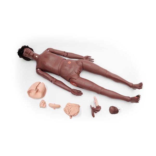 3B Scientific Full Body Training Manikin Ea
