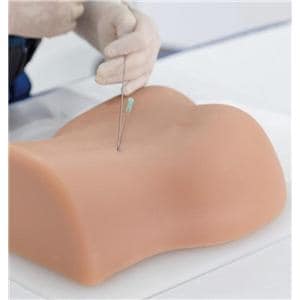 3B Scientific Lumbar Spinal Column Spinal Injection Trainer Ea