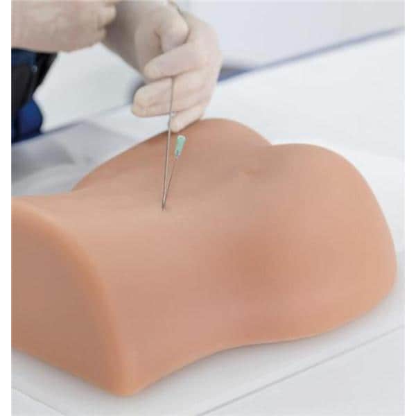 3B Scientific Lumbar Spinal Column Spinal Injection Trainer Ea