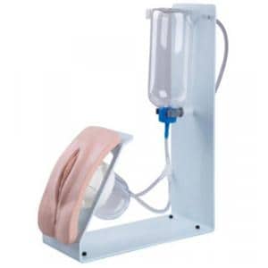 3B Scientific Catheterization Female Simulator Ea