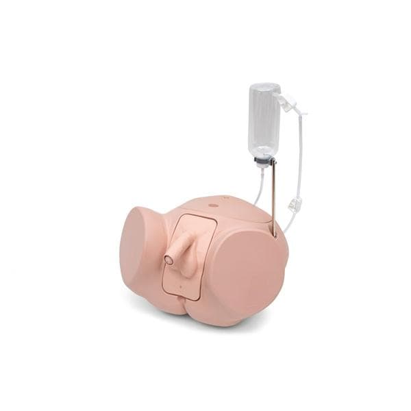 3B Scientific Catheterization Male Simulator Ea