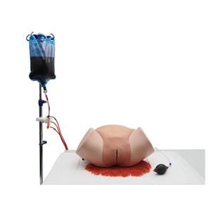 3B Scientific Hemorrhage Control Postpartum Simulator Ea