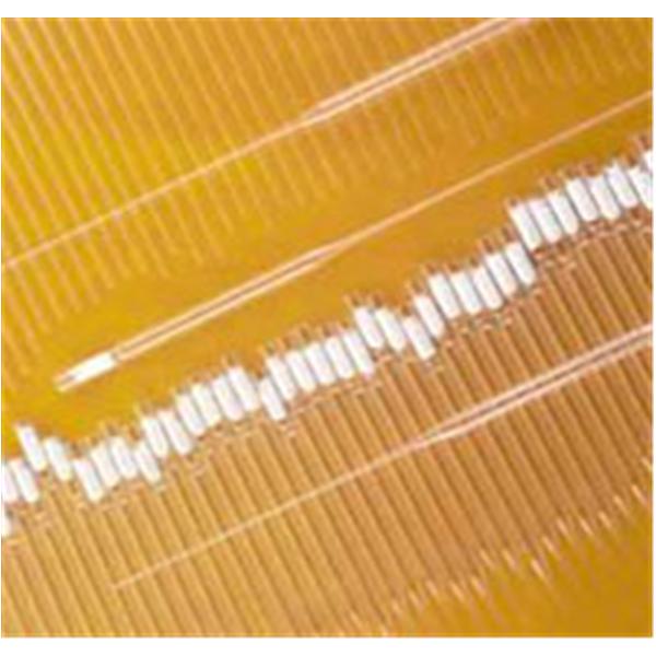 Pasteur Pipette 1000/CA